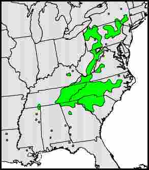 Ilex Range Map