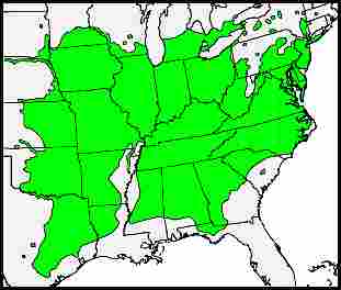Walnut Range Map