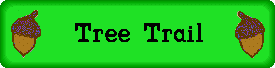 Tree Trail